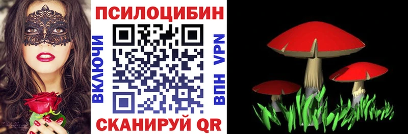 Галлюциногенные грибы Psilocybine cubensis  цены наркотик  Тбилисская 